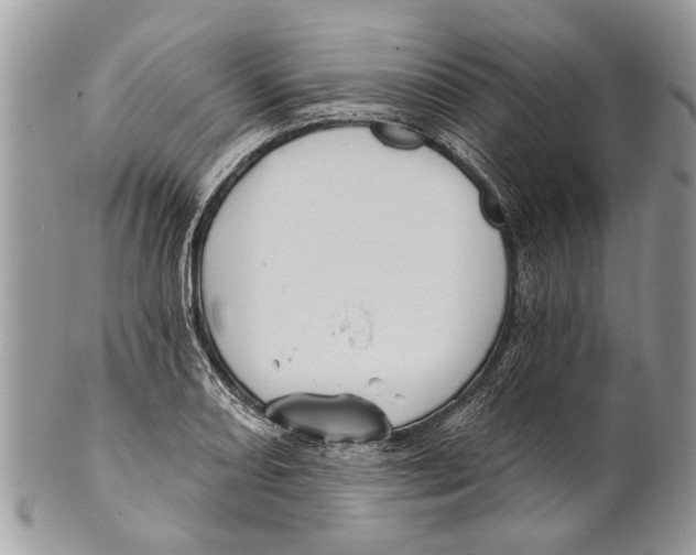X0000101161082200807251105