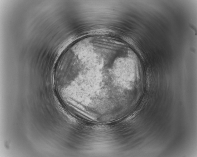 X0000101161083200807251105