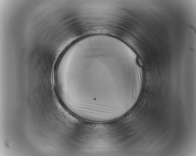 X0000101161084200807251105