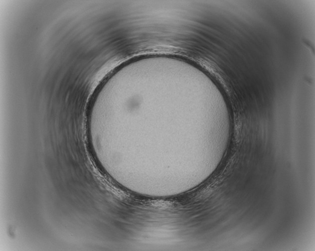 X0000101161085200807251105