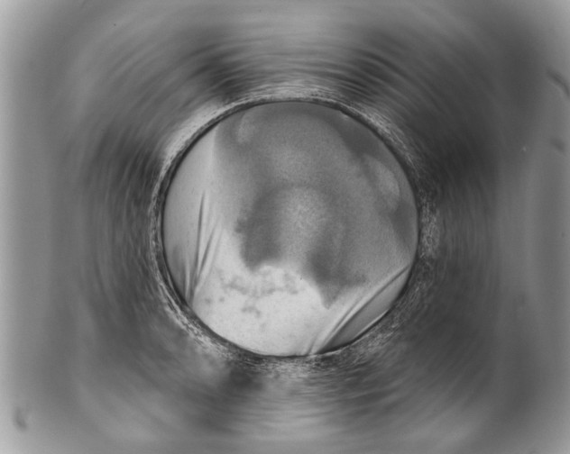 X0000101161086200807251105