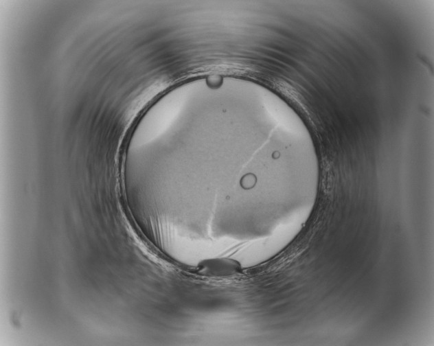 X0000101161087200807251105