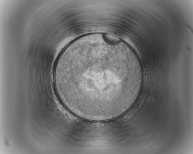 X0000101161088200807251105