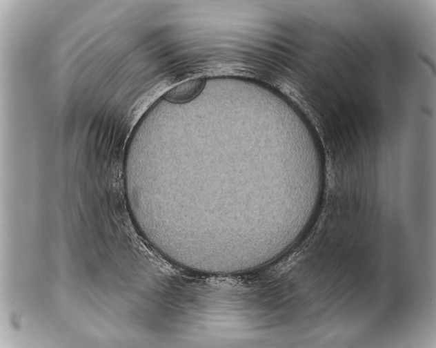 X0000101161089200807251105