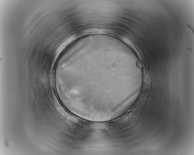 X0000101161090200807251105