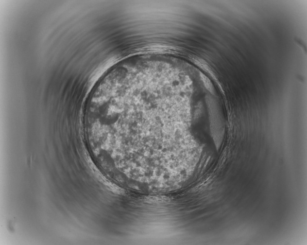 X0000101161091200807251105