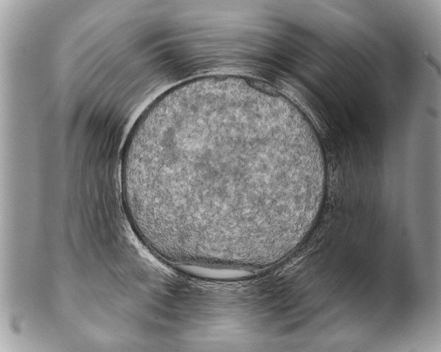 X0000101161092200807251105