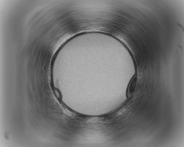X0000101161093200807251105