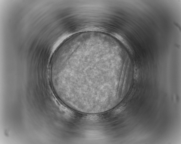 X0000101161094200807251105