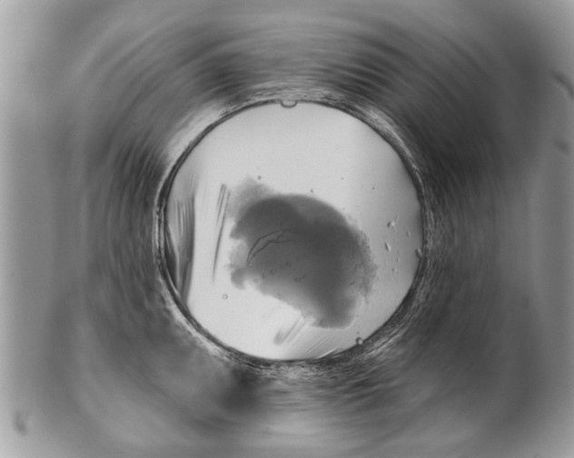 X0000101161095200807251105