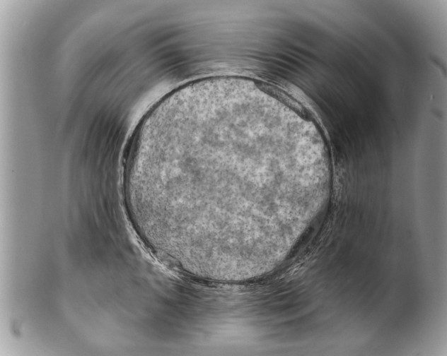 X0000101161096200807251105