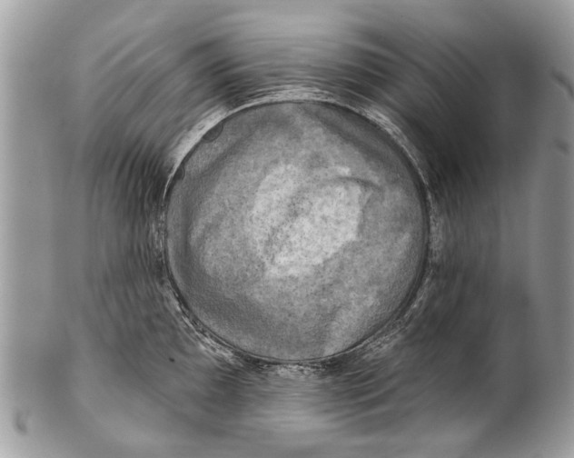 X0000101161097200807251105