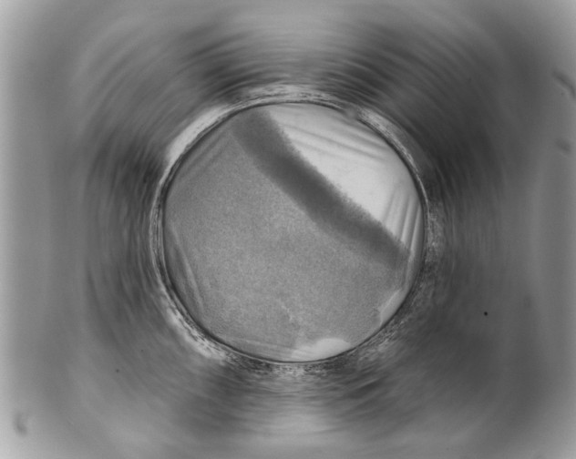 X0000101161098200807251105