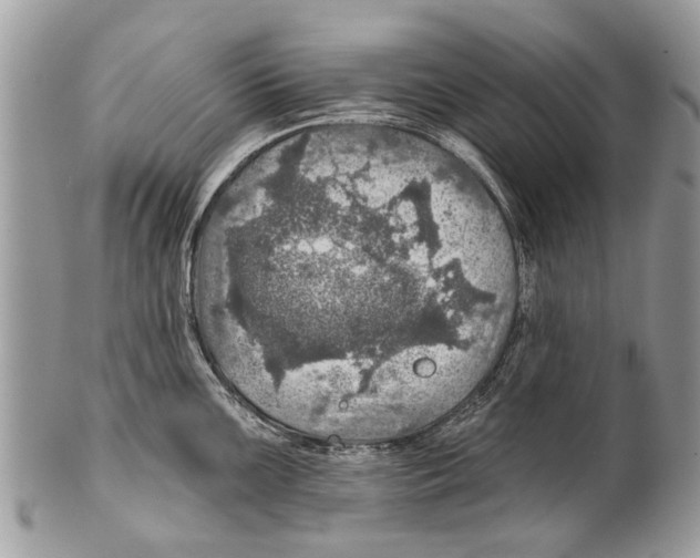 X0000101161099200807251105