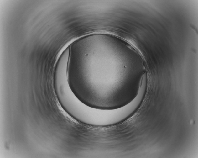 X0000101161100200807251105