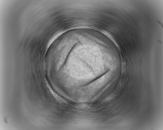 X0000101161101200807251105