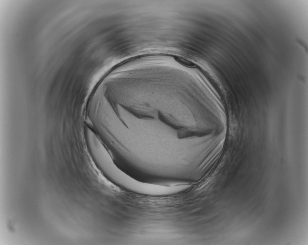 X0000101161102200807251105