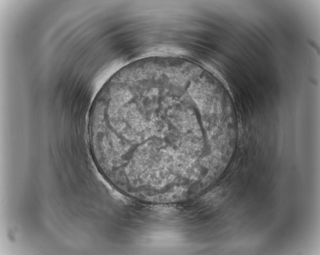 X0000101161103200807251105