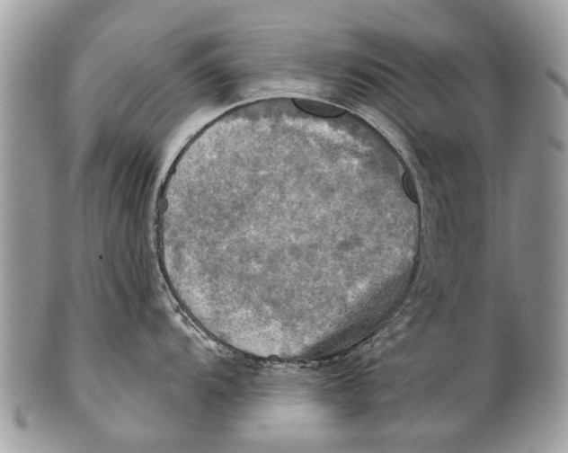 X0000101161104200807251105