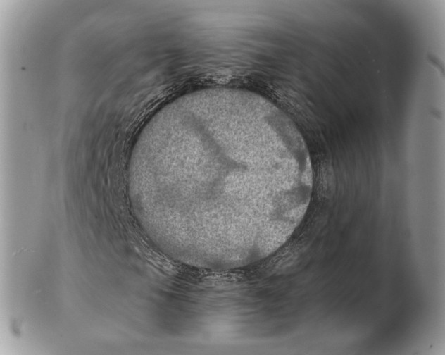 X0000101161105200807251104