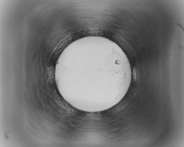 X0000101161107200807251104