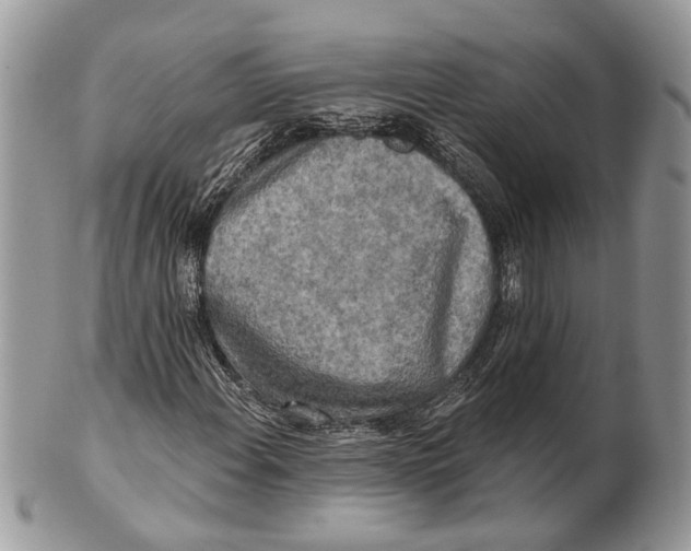 X0000101161108200807251104