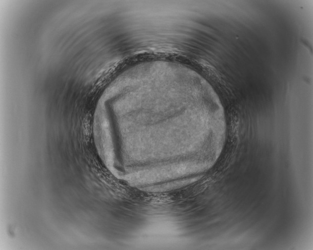 X0000101161110200807251104