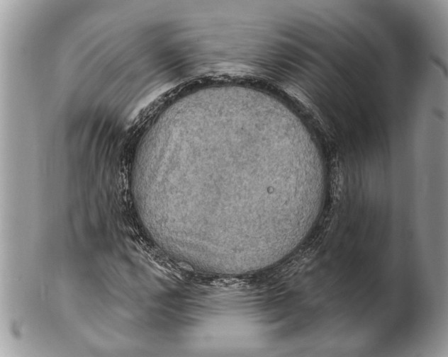 X0000101161112200807251104