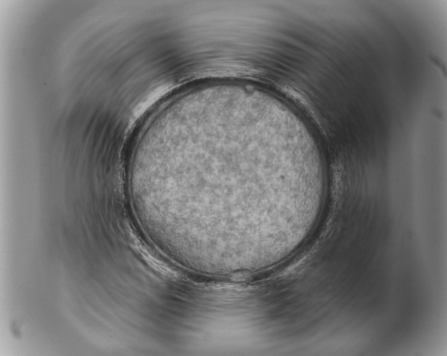X0000101161114200807251104