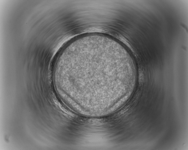 X0000101161116200807251104
