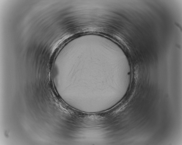 X0000101161117200807251104