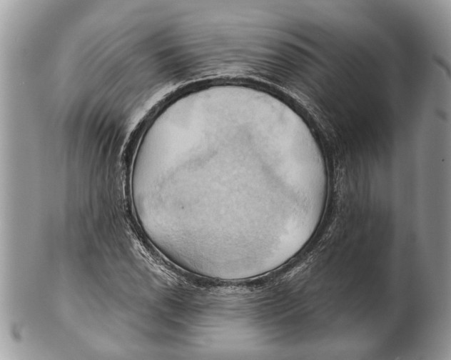 X0000101161118200807251104
