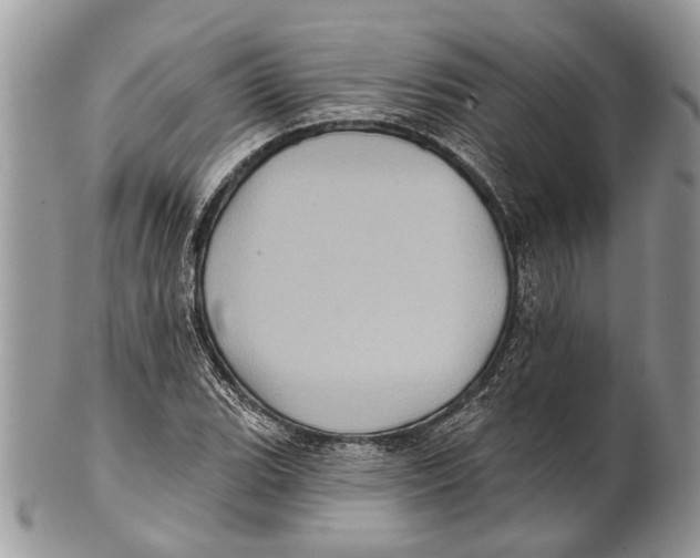 X0000101161119200807251104