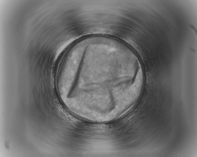 X0000101161120200807251104