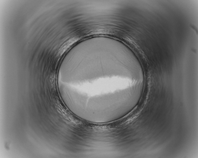 X0000101161121200807251104