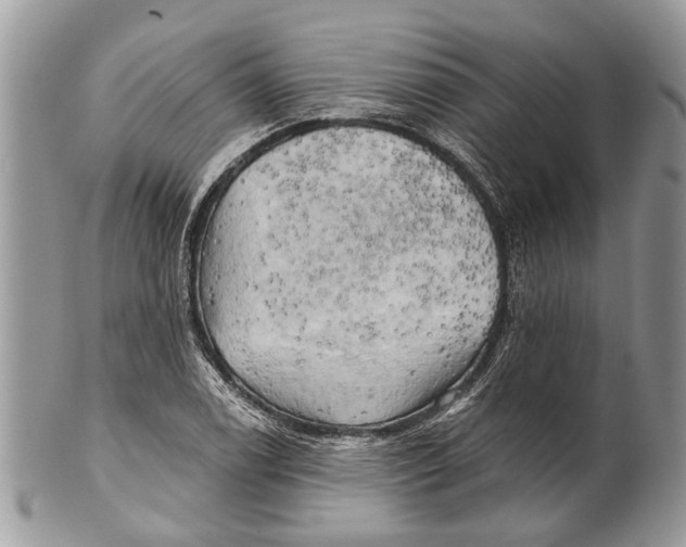 X0000101161122200807251104