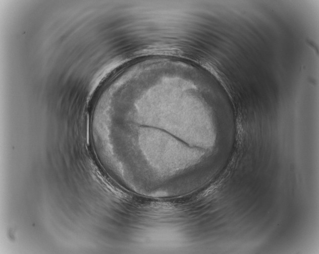 X0000101161123200807251104