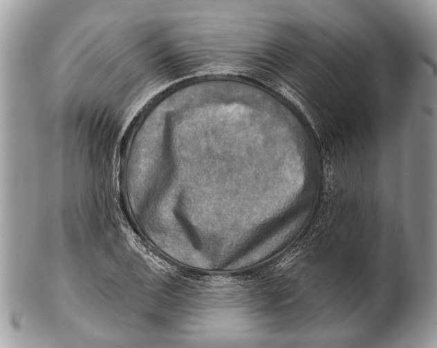 X0000101161124200807251104