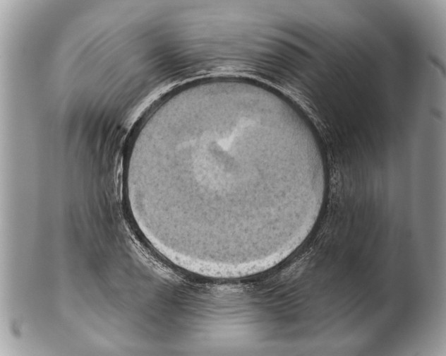 X0000101161126200807251105