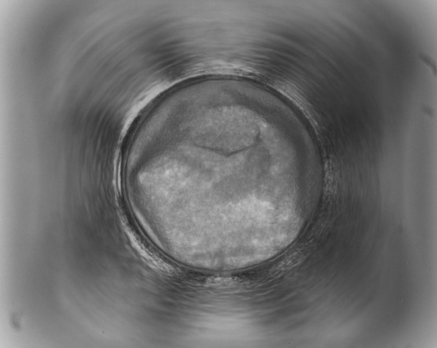 X0000101161128200807251105