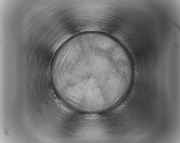 X0000101161129200807251105