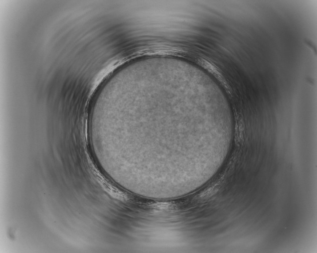 X0000101161130200807251105