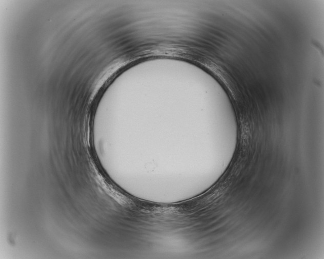 X0000101161131200807251105