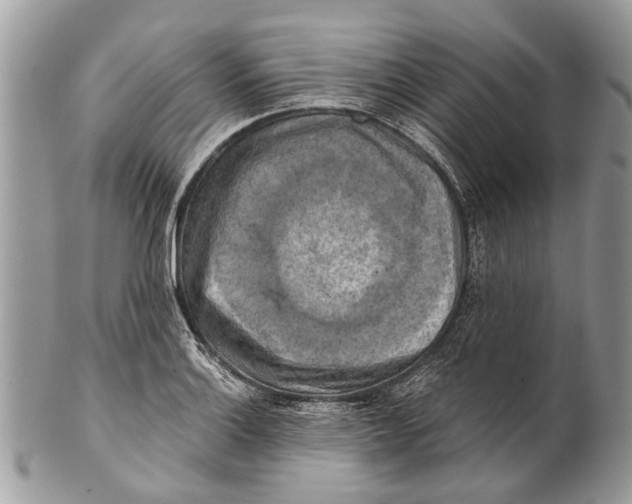 X0000101161132200807251105