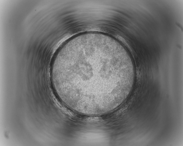 X0000101161133200807251105