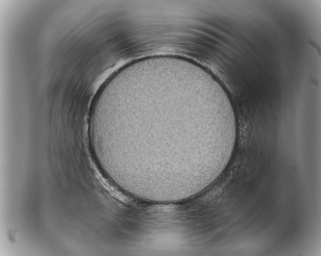 X0000101161134200807251105