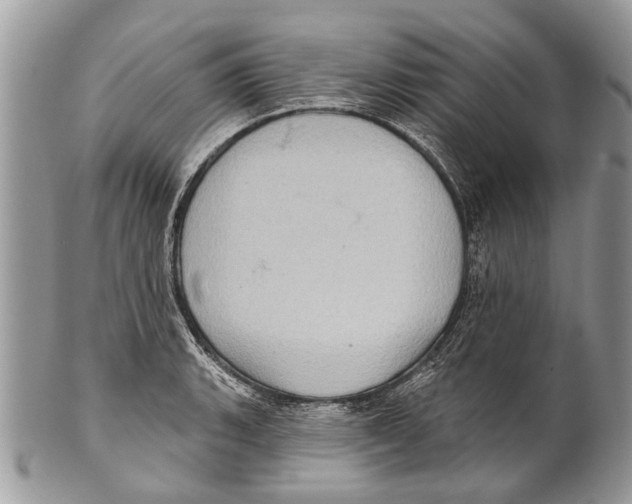 X0000101161135200807251105