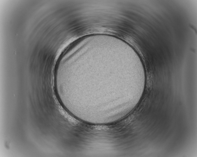 X0000101161136200807251105