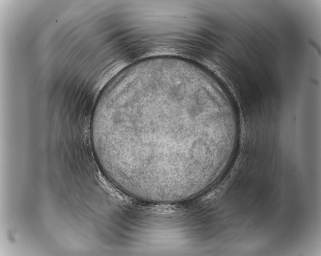 X0000101161137200807251105