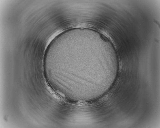 X0000101161138200807251105